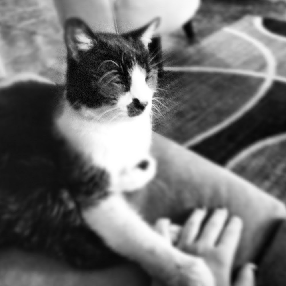 Meet your Posher, Run